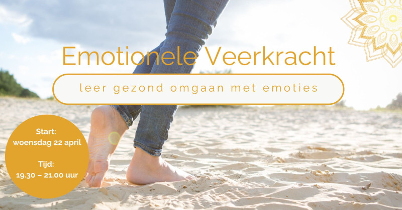 Emotionele Veerkracht– leer gezond omgaan met emoties