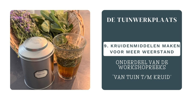 Themaworkshop: Kruidenmiddelen voor meer weerstand (Tuinwerkplaats 9)