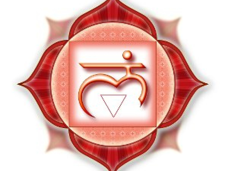 Chakra Mapping Special | Root Chakra