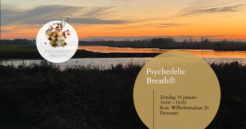 Psychedelic Breath® Workshop