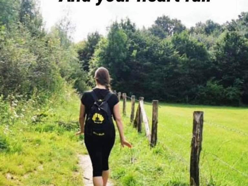 Mind-Walk Trainers cursus