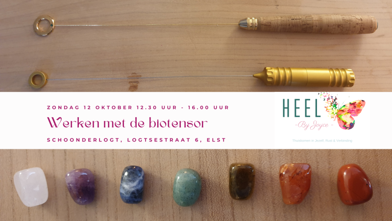 Werken met de Biotensor