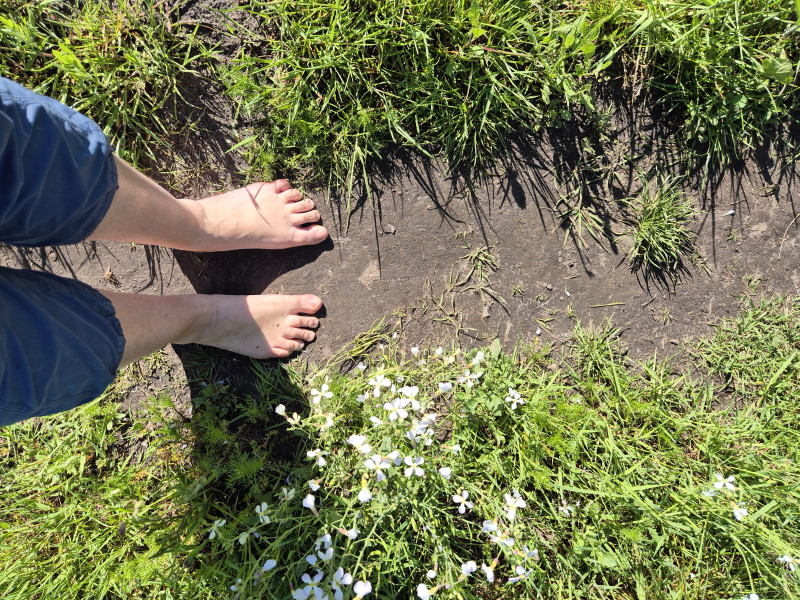 OntMoeten op blote voeten - Blotevoetenwandeling St Oedenrode  - Lichaamswerk, Natuur, Wandelen