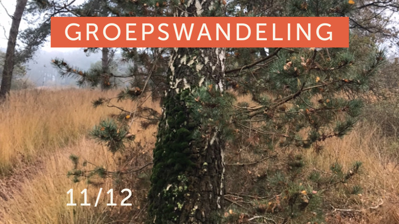 Groepswandeling