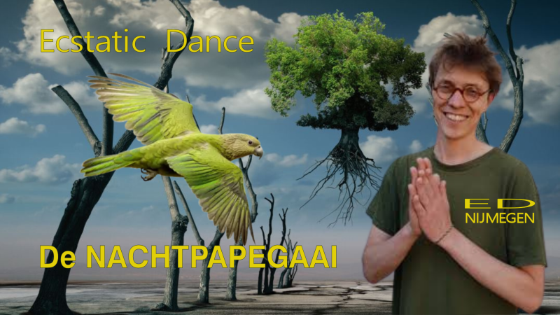 Ecstatic Dance Nijmegen │ DE NACHTPAPEGAAI │ 04/04 - Ecstatic Dance, Intuitive Dance, Conscious Dance