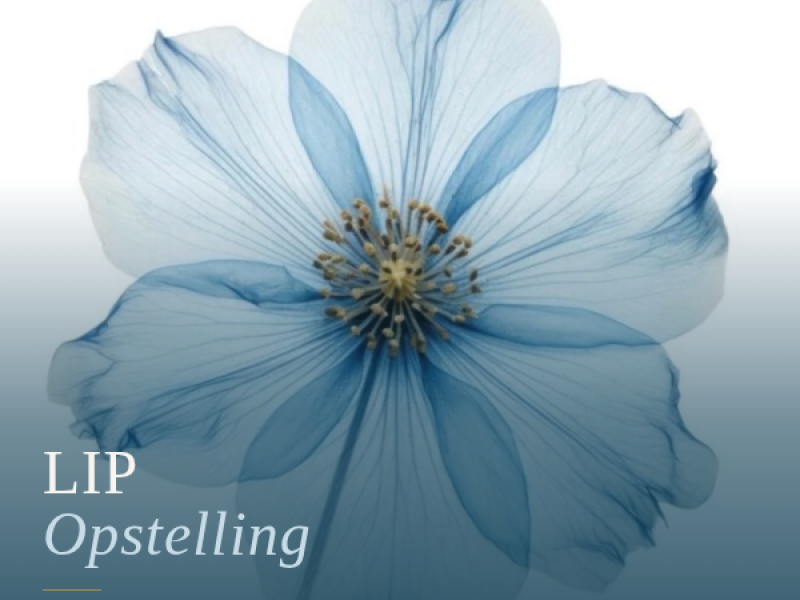 LIP opstellingen