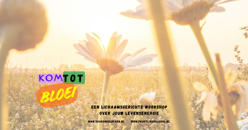 Kom tot Bloei - vind je levensenergie