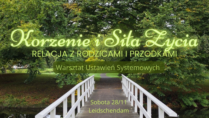 Korzenie i Siła Życia. Relacja z Rodzicami i Przodkami