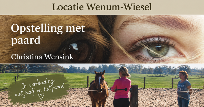 Opstelling met paard - Christina Wensink