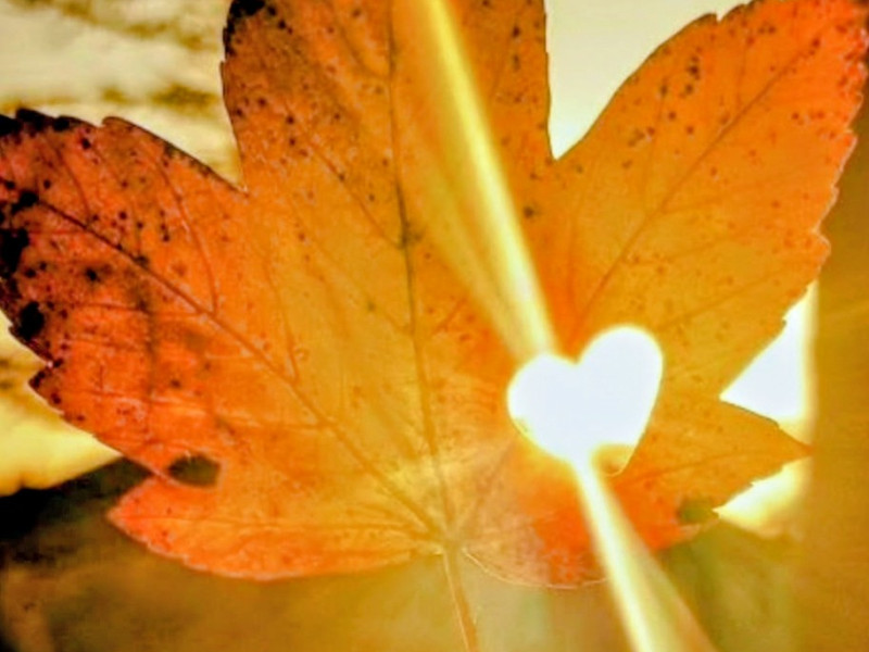 Yin Yoga Immersion