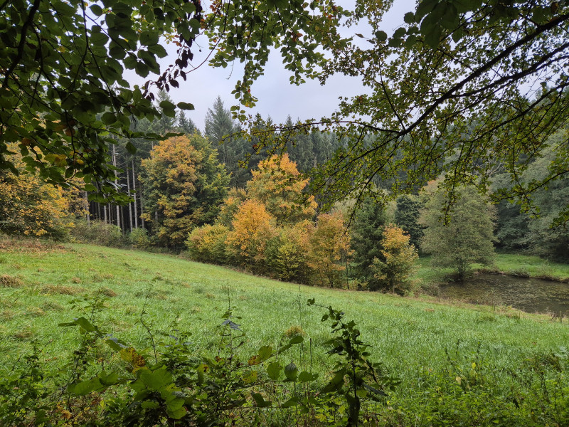 OntMoet wandeling - Kleur jouw herfst