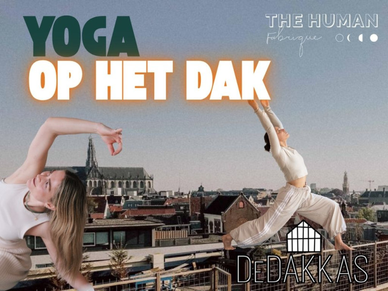 Yoga op het dak - bij DeDAKKAS Haarlem