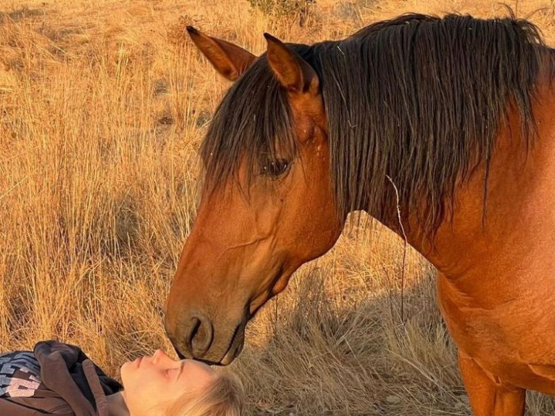 Workshop: Persoonlijke activatie voor het Paardenjaar - Meditatie, Persoonlijke Ontwikkeling, Schrijven