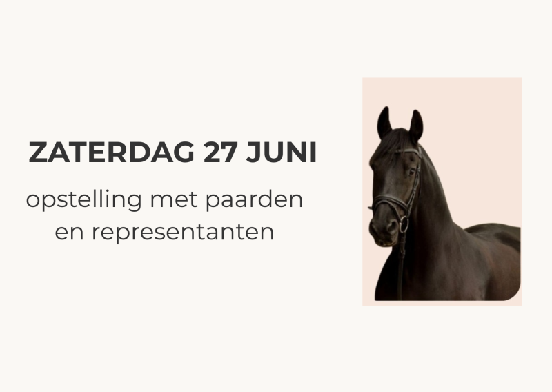 Familieopstelling met paarden en representanten