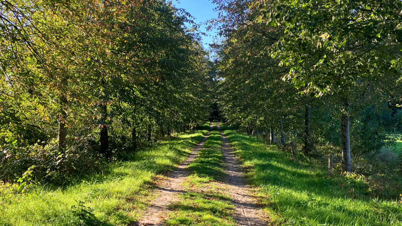 Groepswandeling