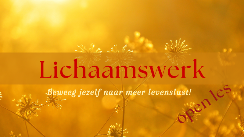 Lichaamswerk - beweeg jezelf naar meer levenslust (open les) - Lichaamswerk, Lichaamsbewustzijn, Zelfexpressie