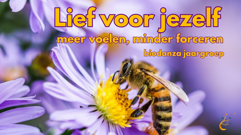 Biodanza jaargroep Lief voor jezelf