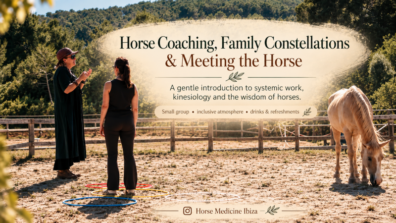 Intro to Family Constellations, Kinesiology & Horse-Assisted Coaching - Systemic Work, Family System, Horses