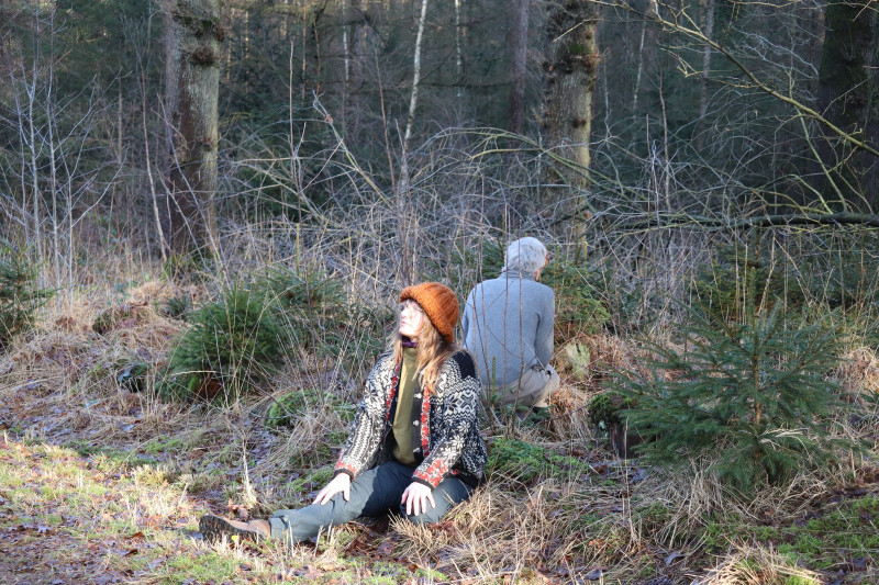 Winters Bosbad met een vleugje Voorjaar - Natuur, Bosbad - Shinrin Yoku