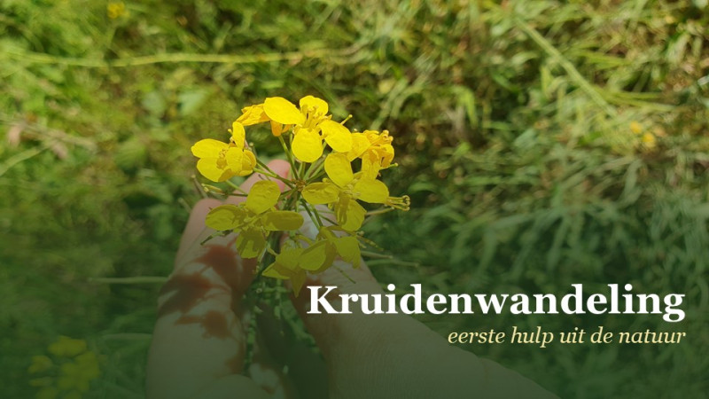 KRUIDENWANDELING – eerste hulp uit de natuur
