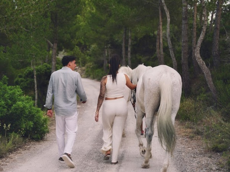 Sunset Horse Ritual IBIZA