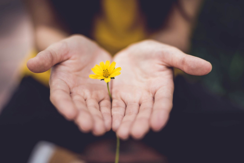 Reiki I cursus