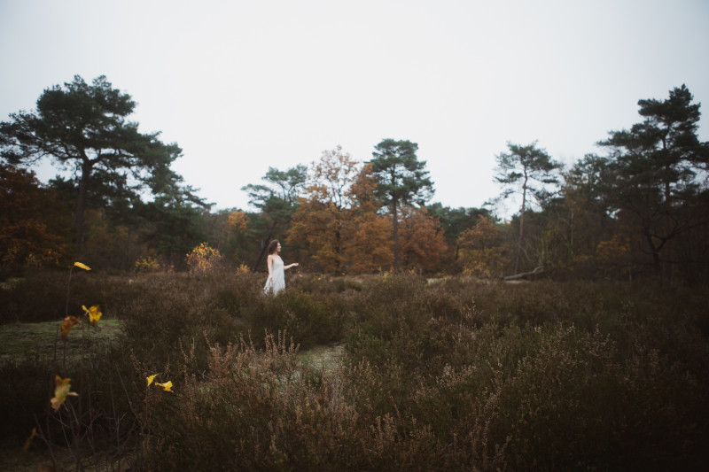 Familie opstelling dag in de BOSSEN 🌳 - Familieopstellingen, Systemisch werk, Bewustzijnsontwikkeling