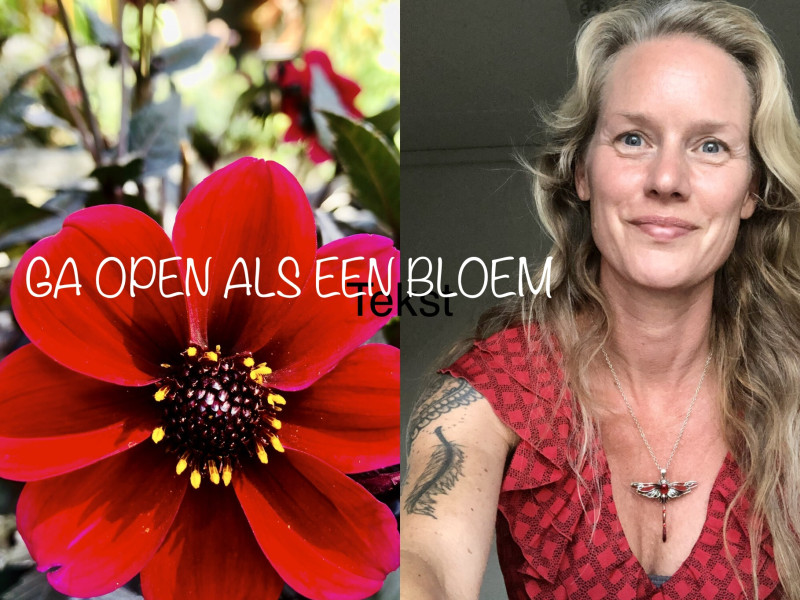 Holistische coaching halfjaarprogramma