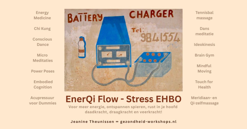 EnerQi Flow - Stress EHBO