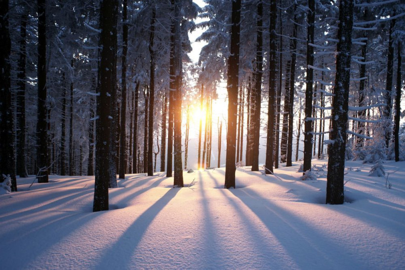 WINTERS SOLSTICE ECSTATIC DANCE IN NATURE - Equinox/Zonnewende, Ecstatic Dance, Ritual Dance