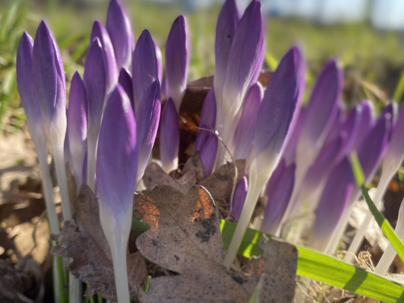Verwendag - Retreat - thema LENTE RESET