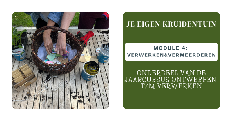 Cursus: je eigen kruidentuin Module 4 - Natuur, Kruiden, Zelfvoorzienend Leven