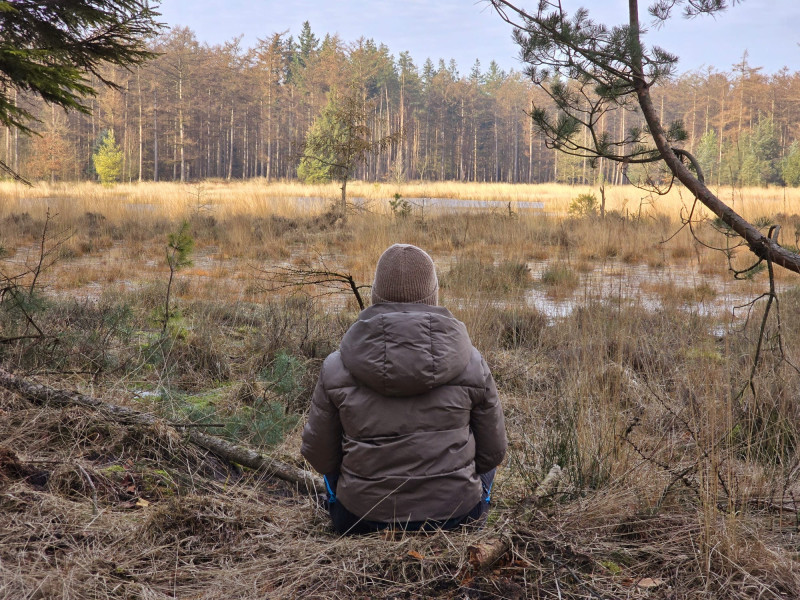 Volle maan bosbad 30 juni Drents-Friese Wold  - Bosbad - Shinrin Yoku, Mindfulness, Natuur