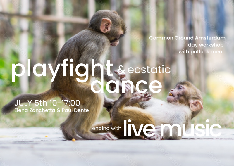 Playfight & Ecstatic Dance - Summer Edition - Ecstatic Dance, Playfulness, Authentic Relating
