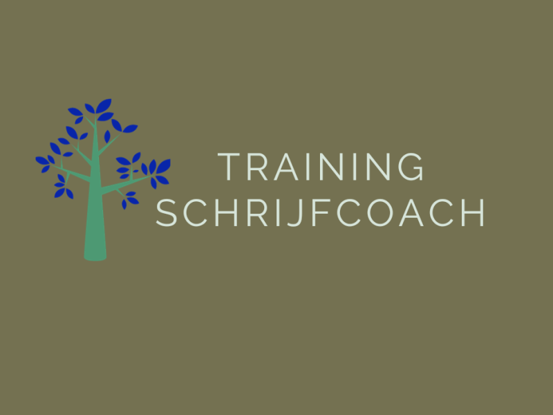 Training Schrijfcoach