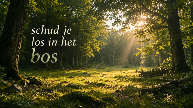 schud je los in het bos ~De TAO van eenvoud en kracht~