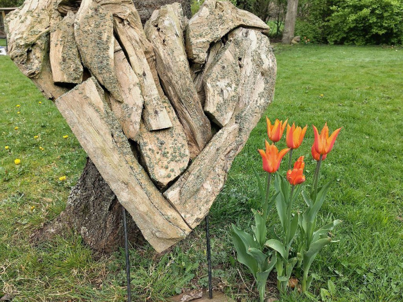 Systemisch Kijken naar Liefdesrelaties