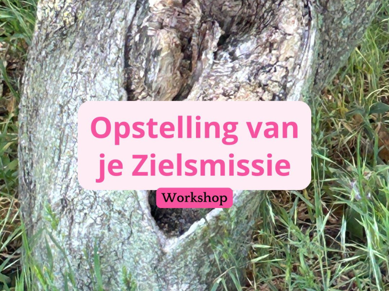 Opstelling van je zielsmissie