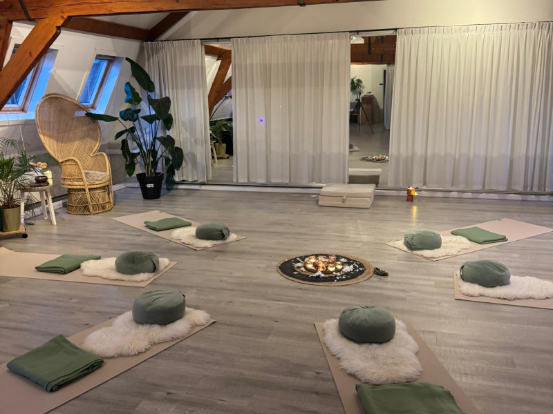 Rooted Collective – Landen in je lichaam & energetische transmissie