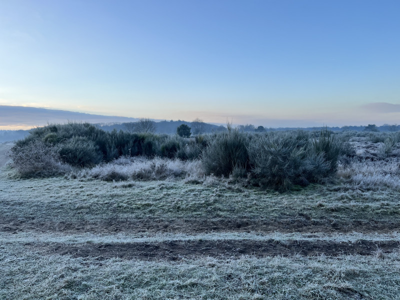 Silent Monday met Annemieke Rodenburg