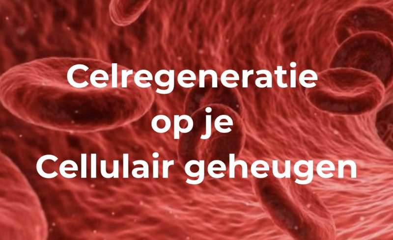 Celregeneratie op je Cellulair geheugen
