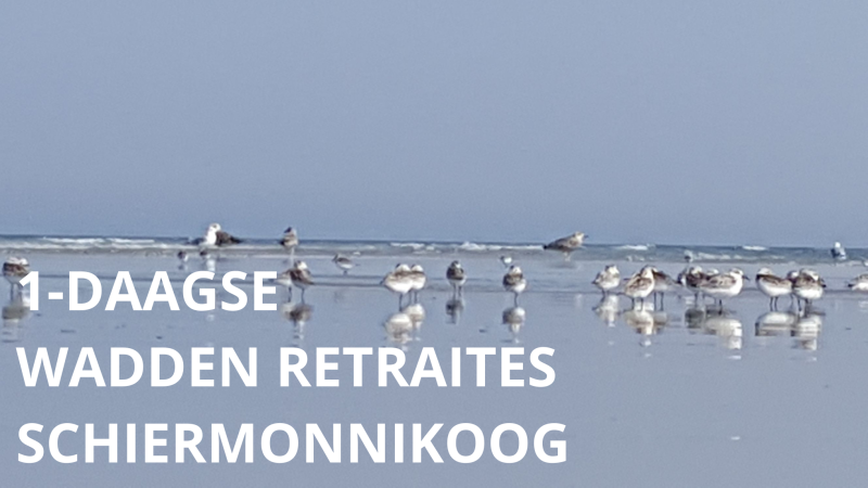 Wadden Retraite Schiermonnikoog