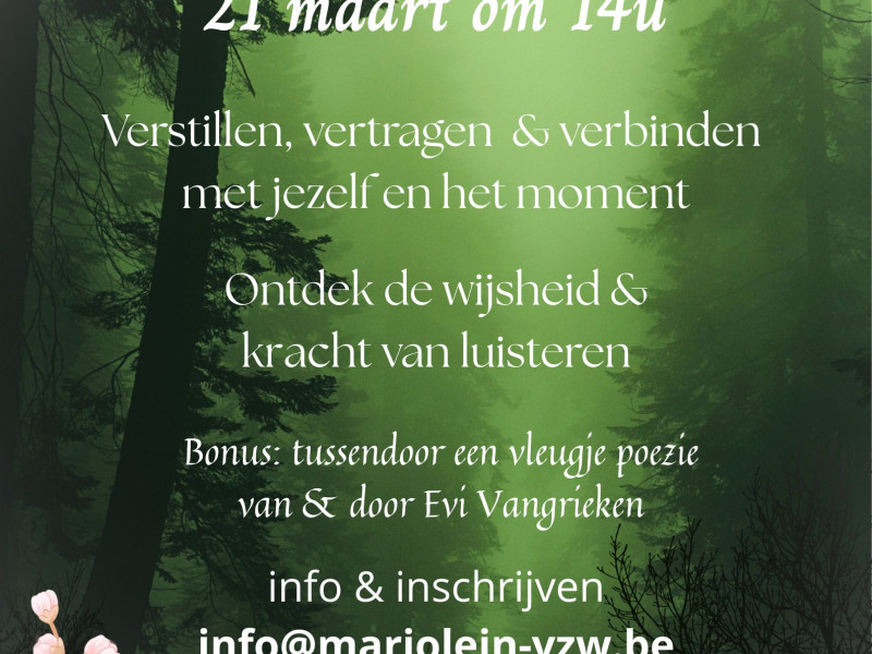 Stiltewandeling