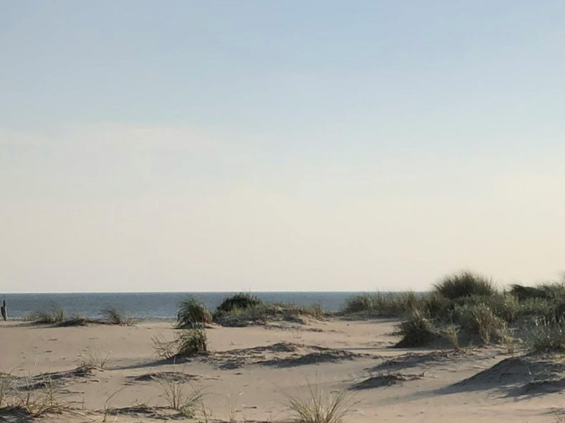 Elementenadem in de duinen