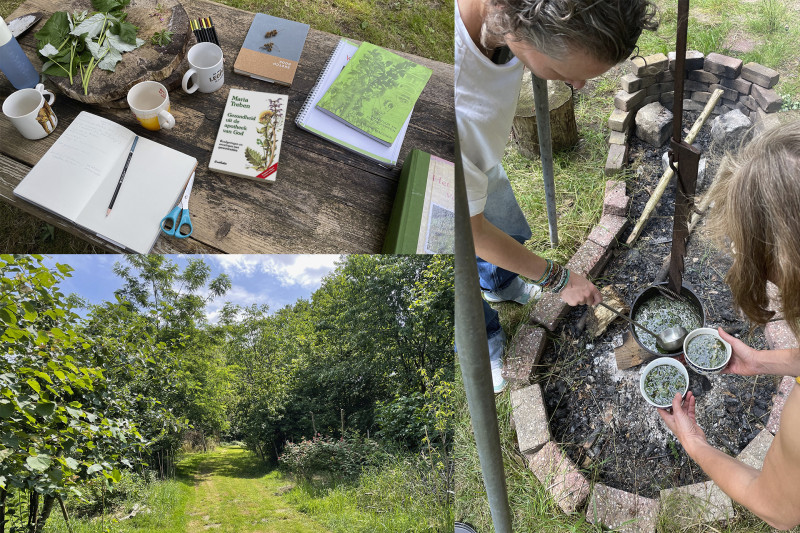 De Wilde OerBeleving: Kruiden, Creatie & Natuurwijsheid 4