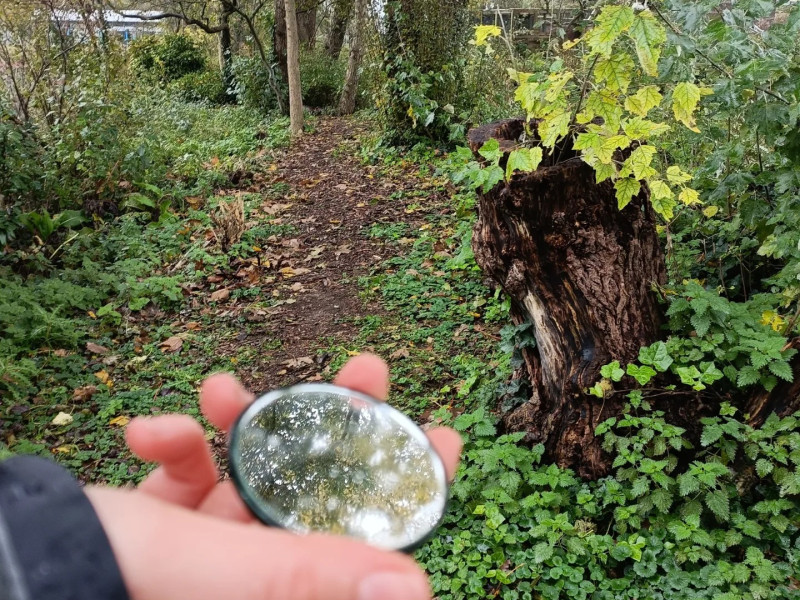 Wildpluk wandeling - Erasmuspark