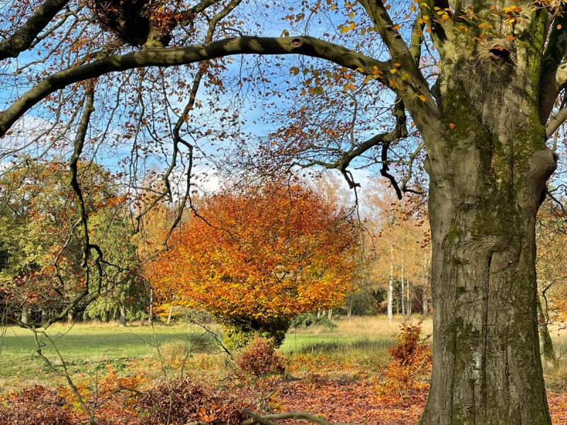 GREET THE SEASONS: HERFST—Live music,Rituals,Stories,Season bites