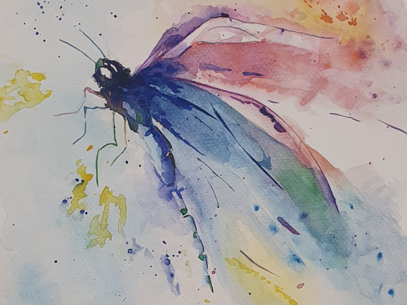 aquarel workshop