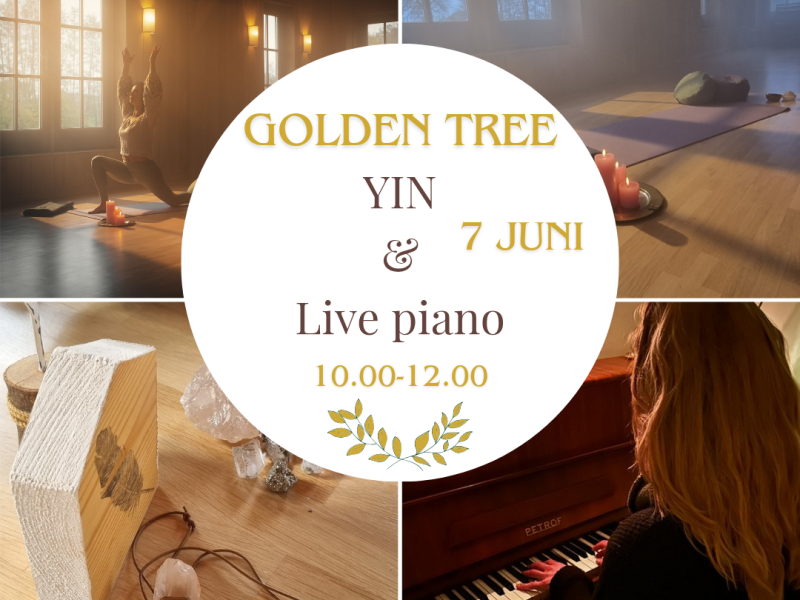 YIN met live pianomuziek