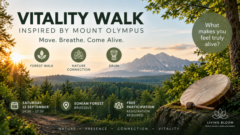 VITALITY WALK — Inspired by Mount Olympus